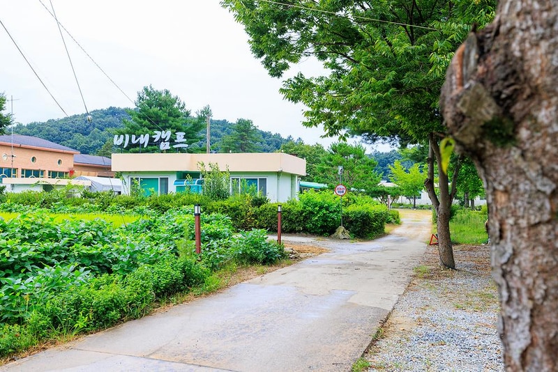 충주 비내캠프 체험학습장 시설 사진 8