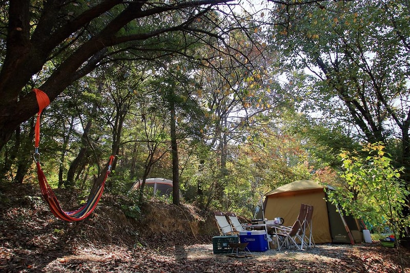 호수산장관광농원 시설 사진 3