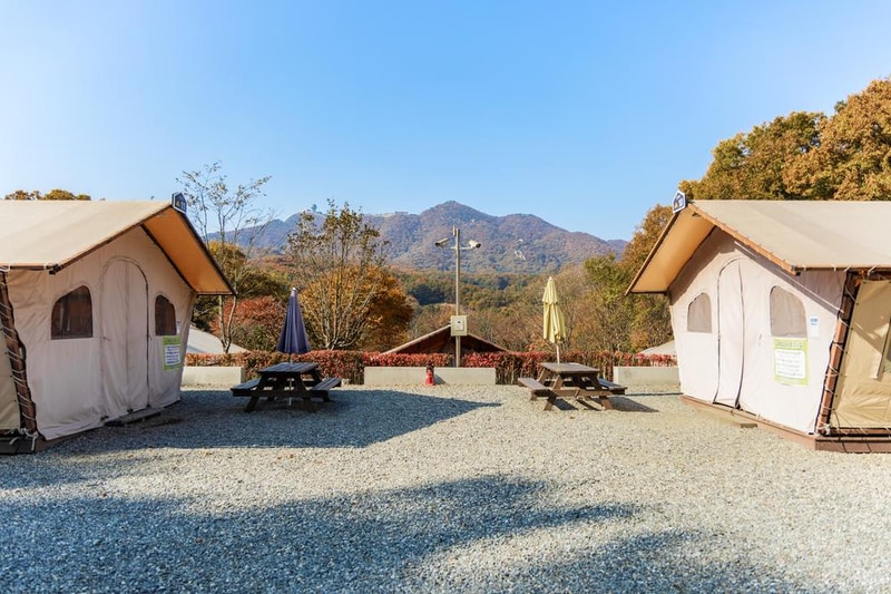 초막골생태공원 느티나무야영장 시설 사진 66