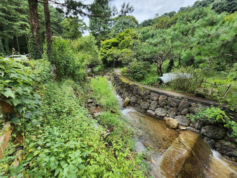 잣숲캠핑장 시설 사진 14