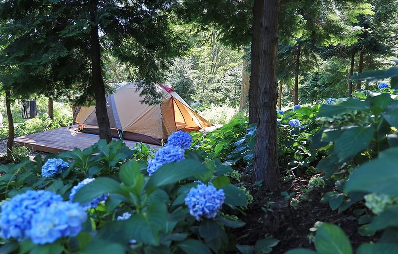 윤제림오토캠핑장 시설 사진 11