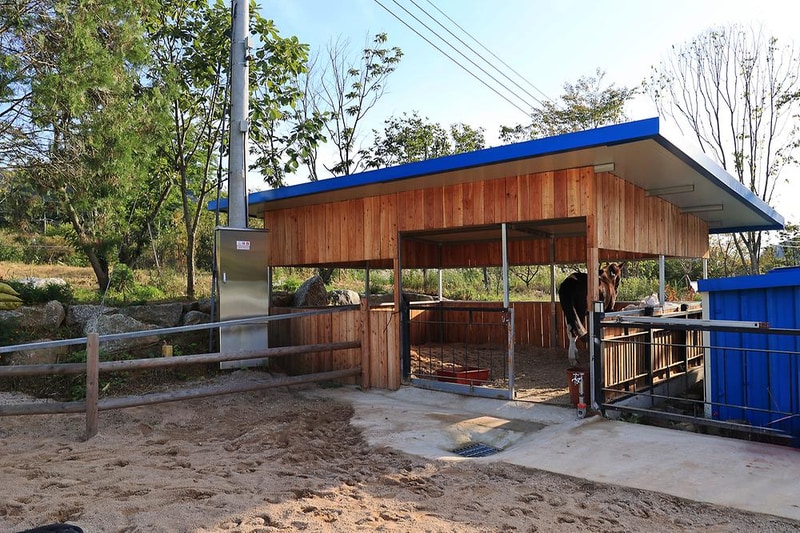 남이섬 마리나 카라반 시설 사진 18