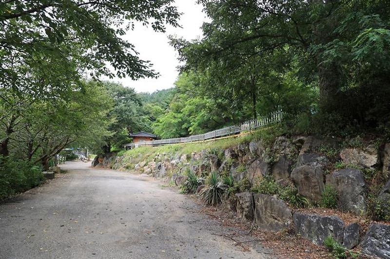 서운산캠핑장 대표 사진