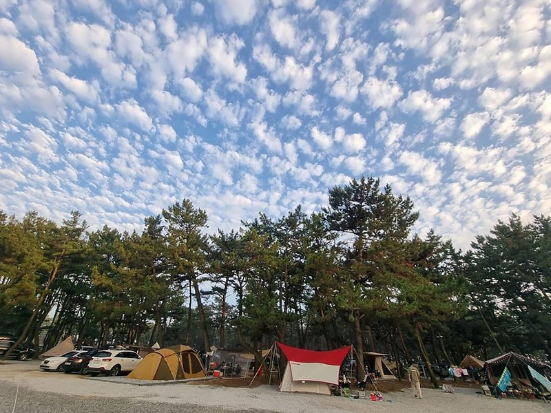 몽산포감성캠핑장 시설 사진 13