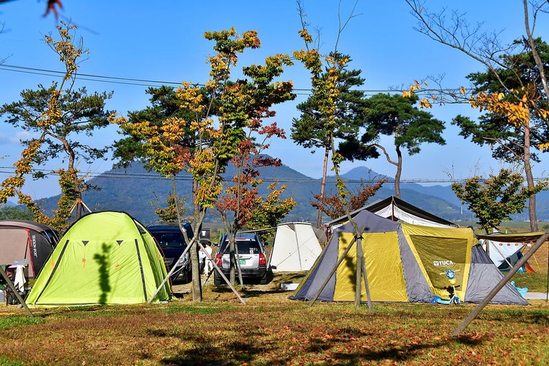 생림 오토 캠핑장 시설 사진 2