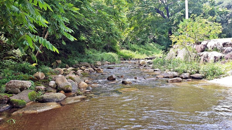 단양 남천 야영장 시설 사진 15