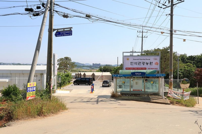 안석관광농원 시설 사진 18