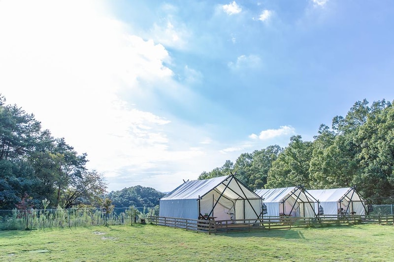 개차반캠핑장 시설 사진 12