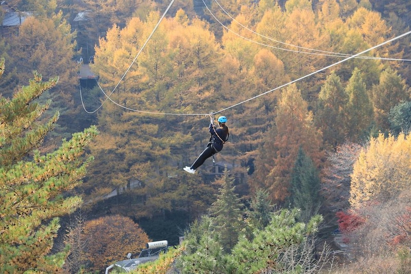 피노키오관광농원 야영장 시설 사진 1