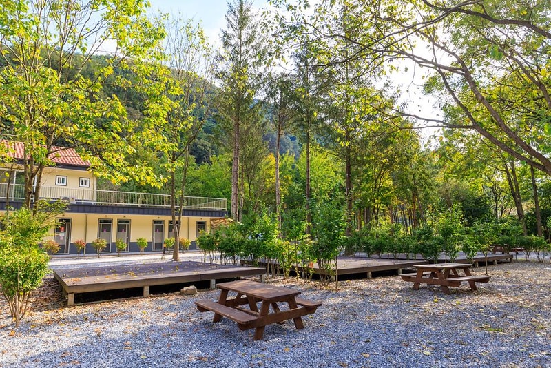 포레스트힐링캠프 시설 사진 17