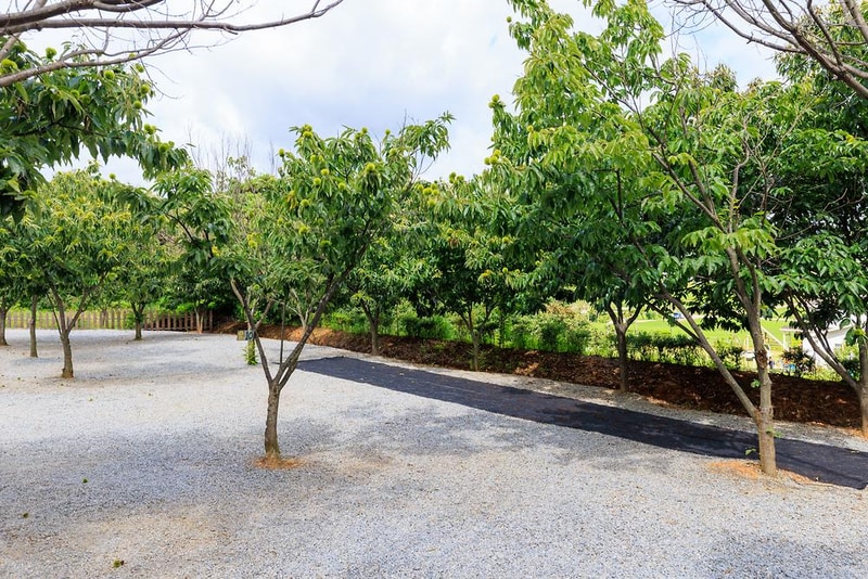 트리팜 관광농원 시설 사진 3