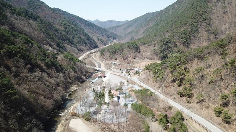 포레스트힐링캠프 대표 사진