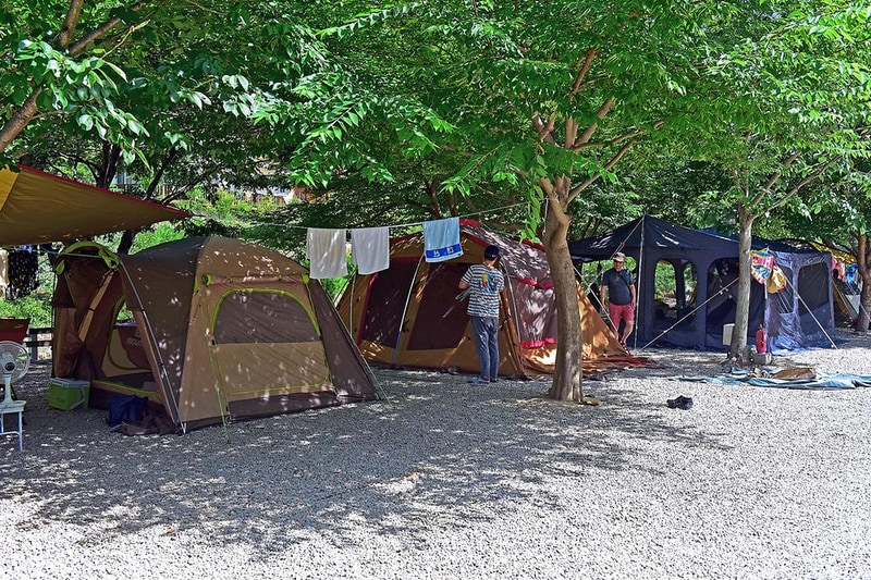 무릉도원 오토캠핑장 시설 사진 6