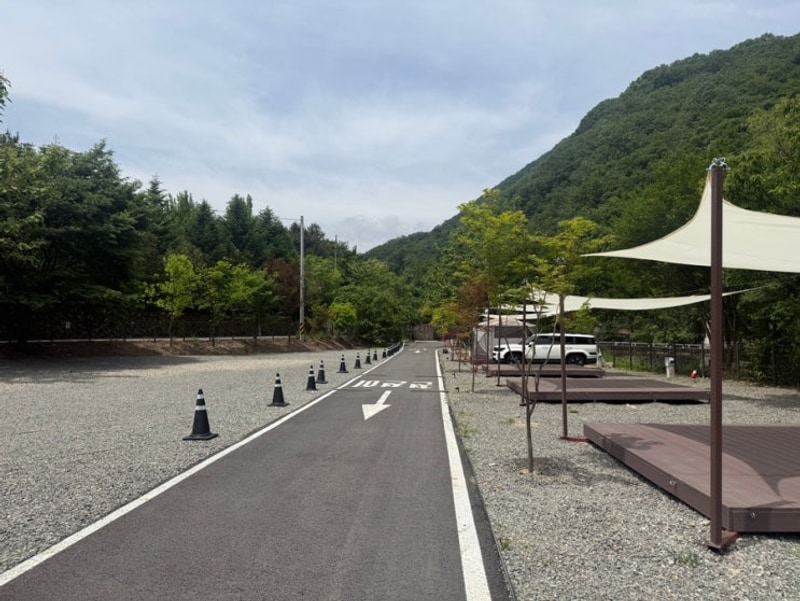 소프(SOPH)