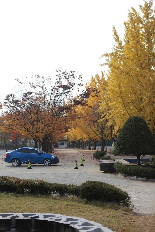 괴강관광농원 시설 사진 85