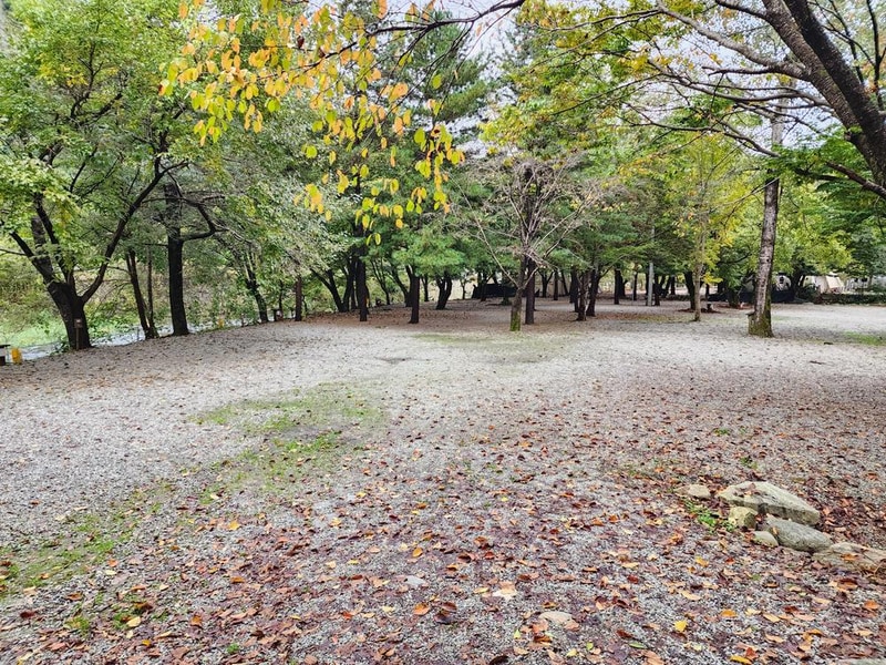 유명산밸리 캠핑장 시설 사진 21