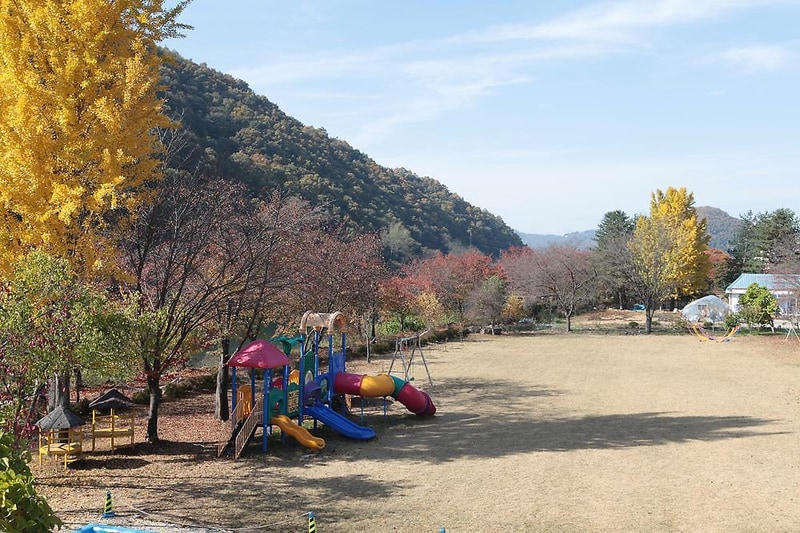 괴강관광농원 시설 사진 27