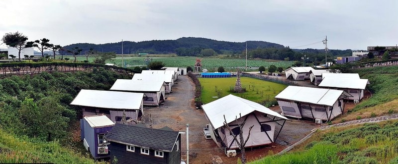 태안 안면도 비비애견동반캠핑장 시설 사진 12