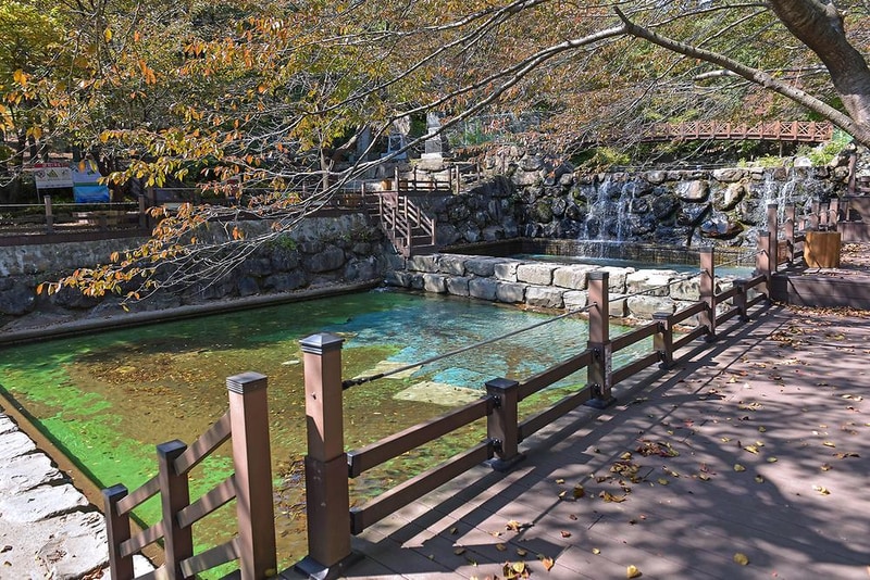 제암산자연휴양림 야영장 시설 사진 5