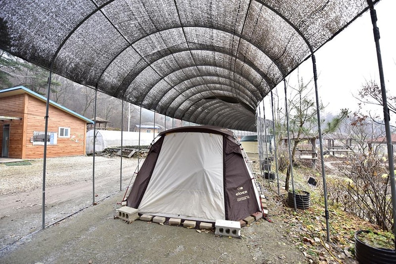 연미향마을 오토캠핑장 시설 사진 5