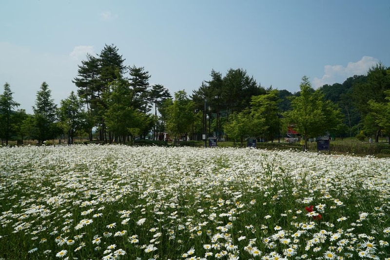 삼강나루캠핑장 시설 사진 11