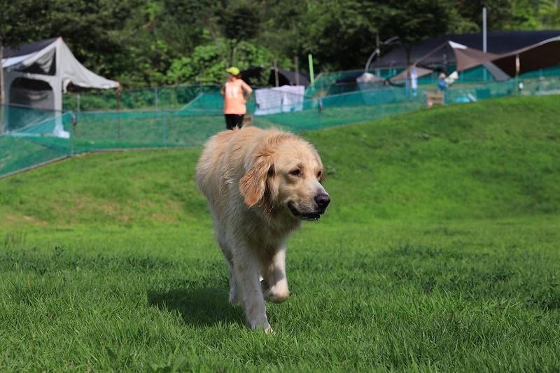 개똥이네캠핑장 시설 사진 2