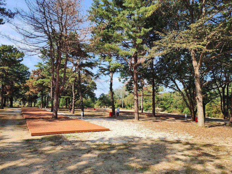 팜파스농원 시설 사진 15