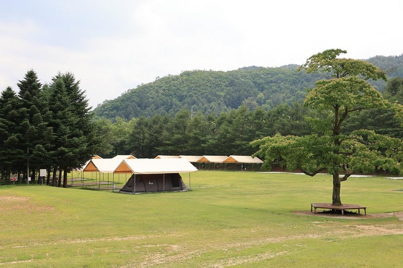 야단법석 시설 사진 13