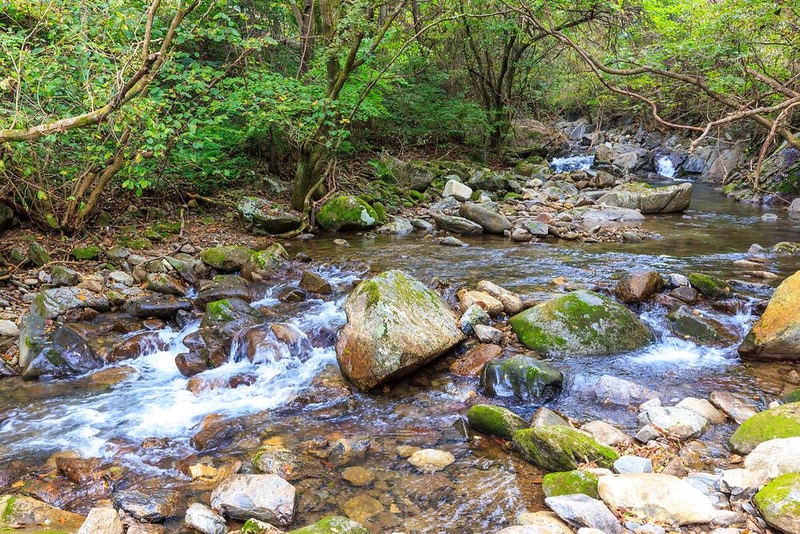 라온밸리캠핑장 시설 사진 7
