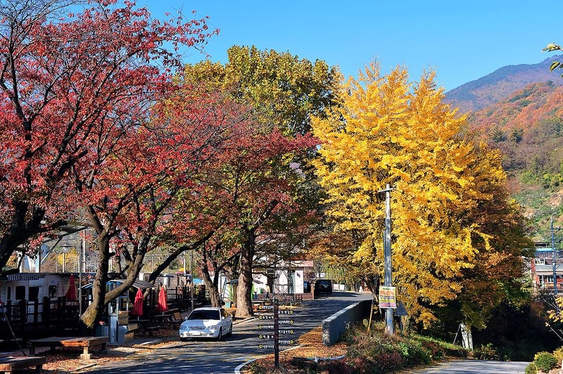 영주시 소백산역 캠핑장 시설 사진 14