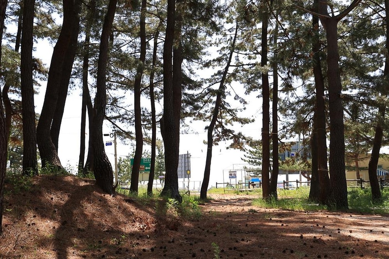 솔밭야영장 시설 사진 7