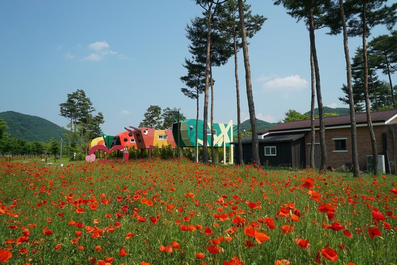 삼강나루캠핑장 시설 사진 5