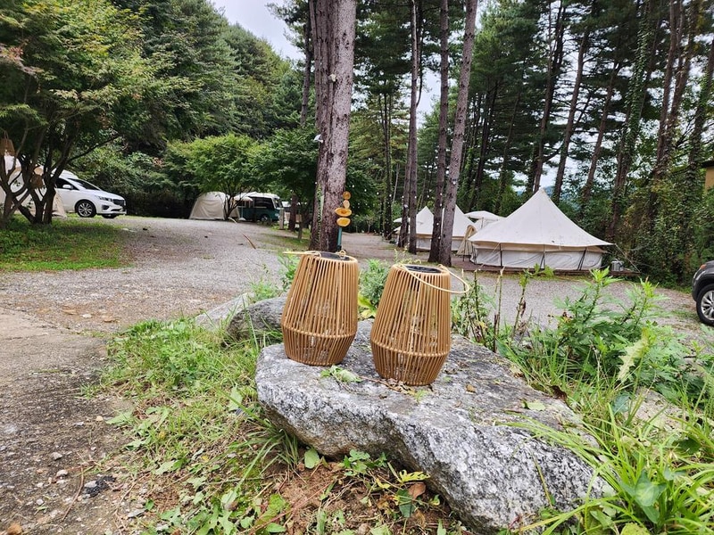 리틀 포레스트 캠핑 시설 사진 27