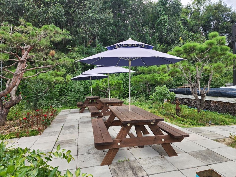 나무와 쉬리 시설 사진 6