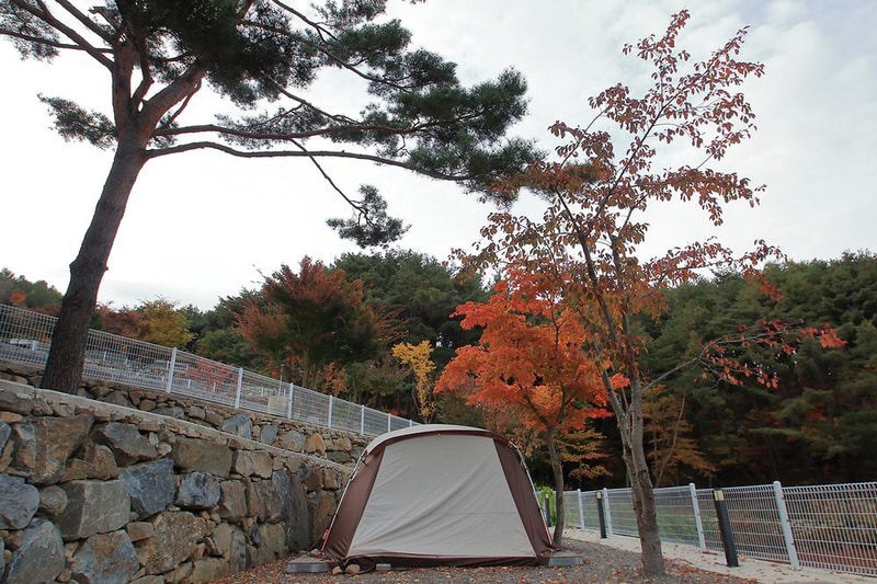 80 SS 오토캠핑장 시설 사진 1