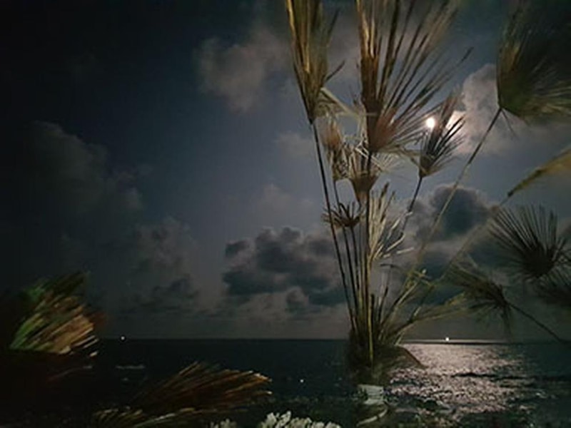 유니의바다 카라반캠핑장 시설 사진 34