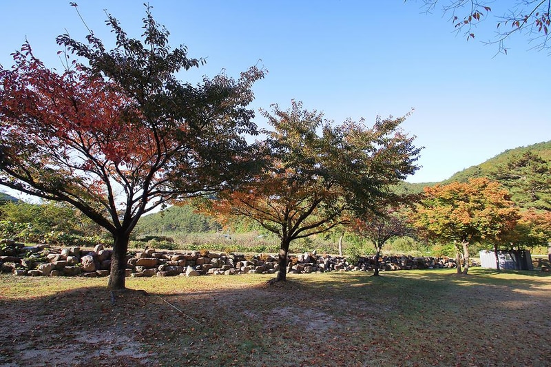 위정캠핑장 시설 사진 11