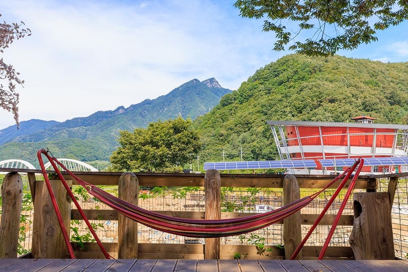 젠틀펫 파라다이스 시설 사진 17