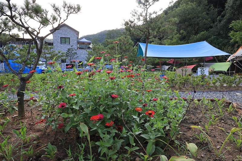 초리 포레스트 시설 사진 3