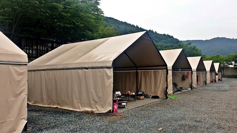 원더 포레스트 시설 사진 17