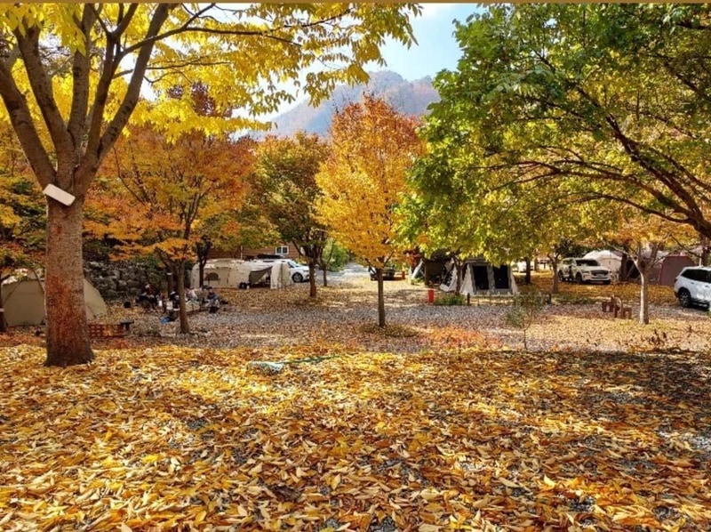 횡성산울림오토캠핑장 시설 사진 45