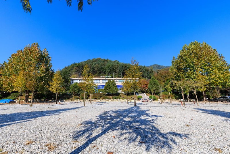 시골학교캠핑장 시설 사진 14