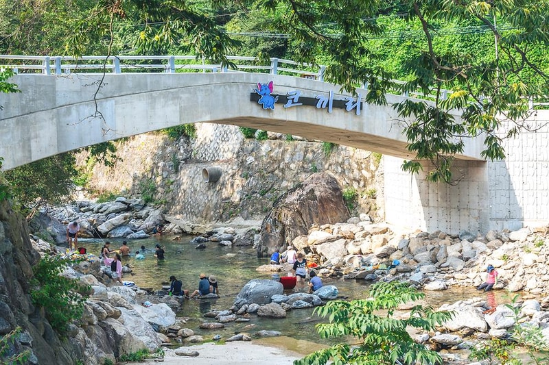 코끼리캠핑장 시설 사진 13