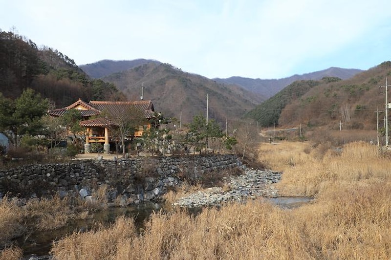 신대리야영장(주식회사 태기산마을 농업회사법인) 대표 사진