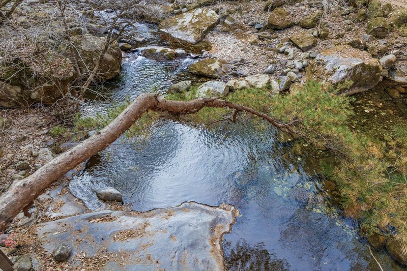소백산국립공원 남천야영장 시설 사진 51