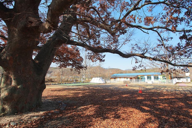 피플앤독 느티캠핑장 시설 사진 3