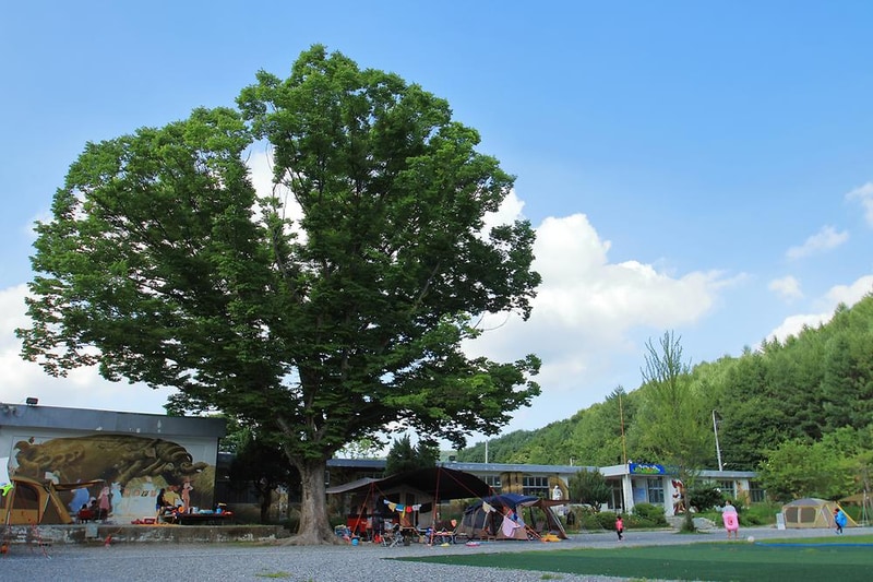 청주키즈캠핑장 시설 사진 5