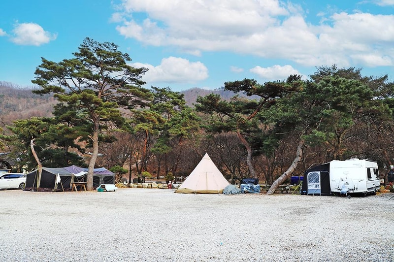 진밭골향기관광농원 야영장 시설 사진 15