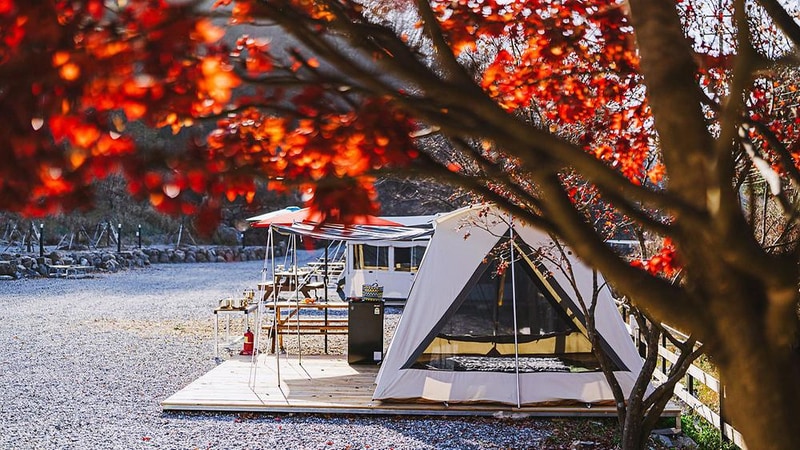 몽리치 시설 사진 1