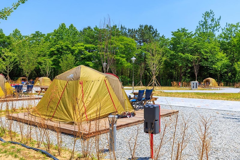 경상북도교육청김천오토캠핑장 시설 사진 2